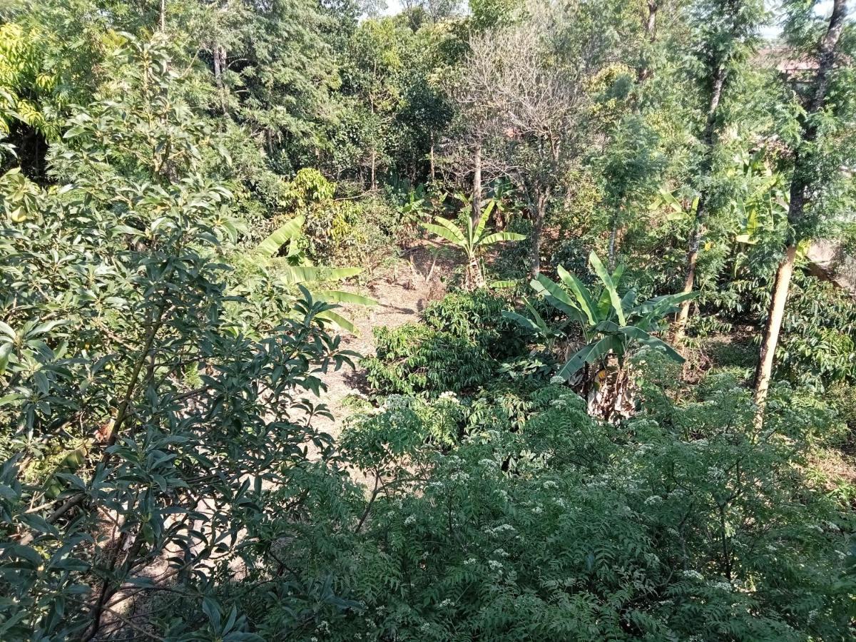 Krupa Homestay Madikeri Esterno foto